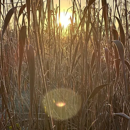 Seeidyll An Der Wublitz *