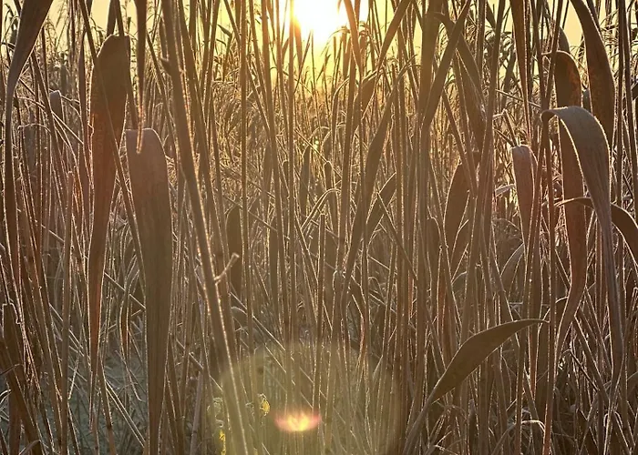 Seeidyll An Der Wublitz *