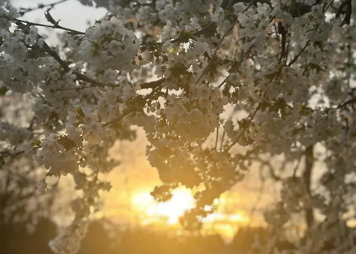 Seeidyll An Der Wublitz *